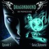 Dragonbound 7 Saras Dämonen